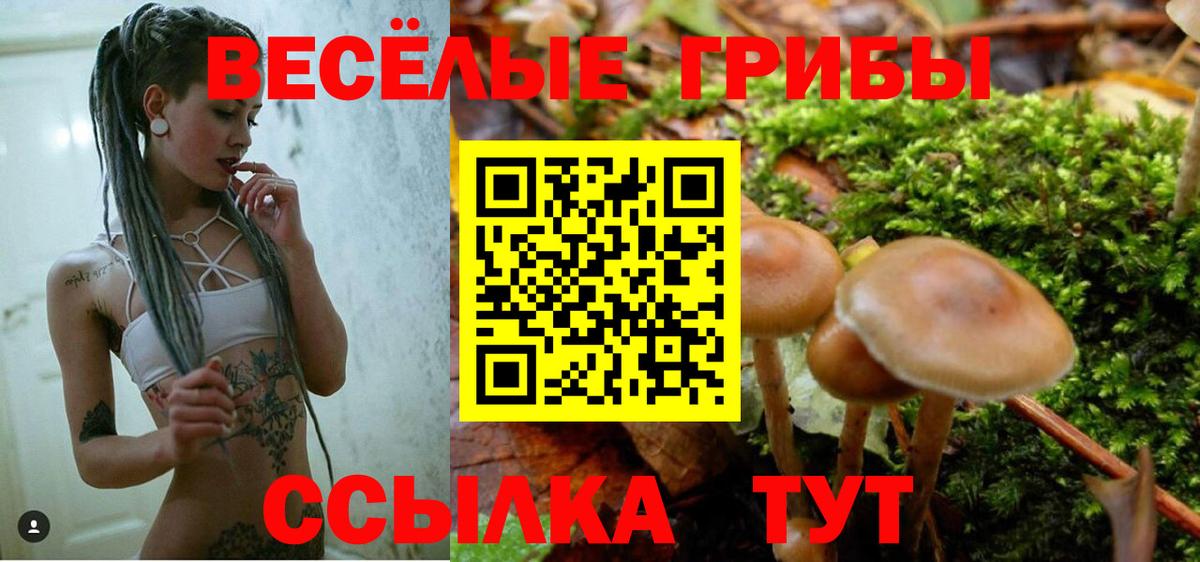 Псилоцибиновые грибы Cubensis  Вход с VPN  Ялуторовск 